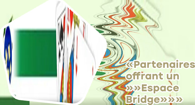 Jeu de bridge en ligne gratuit